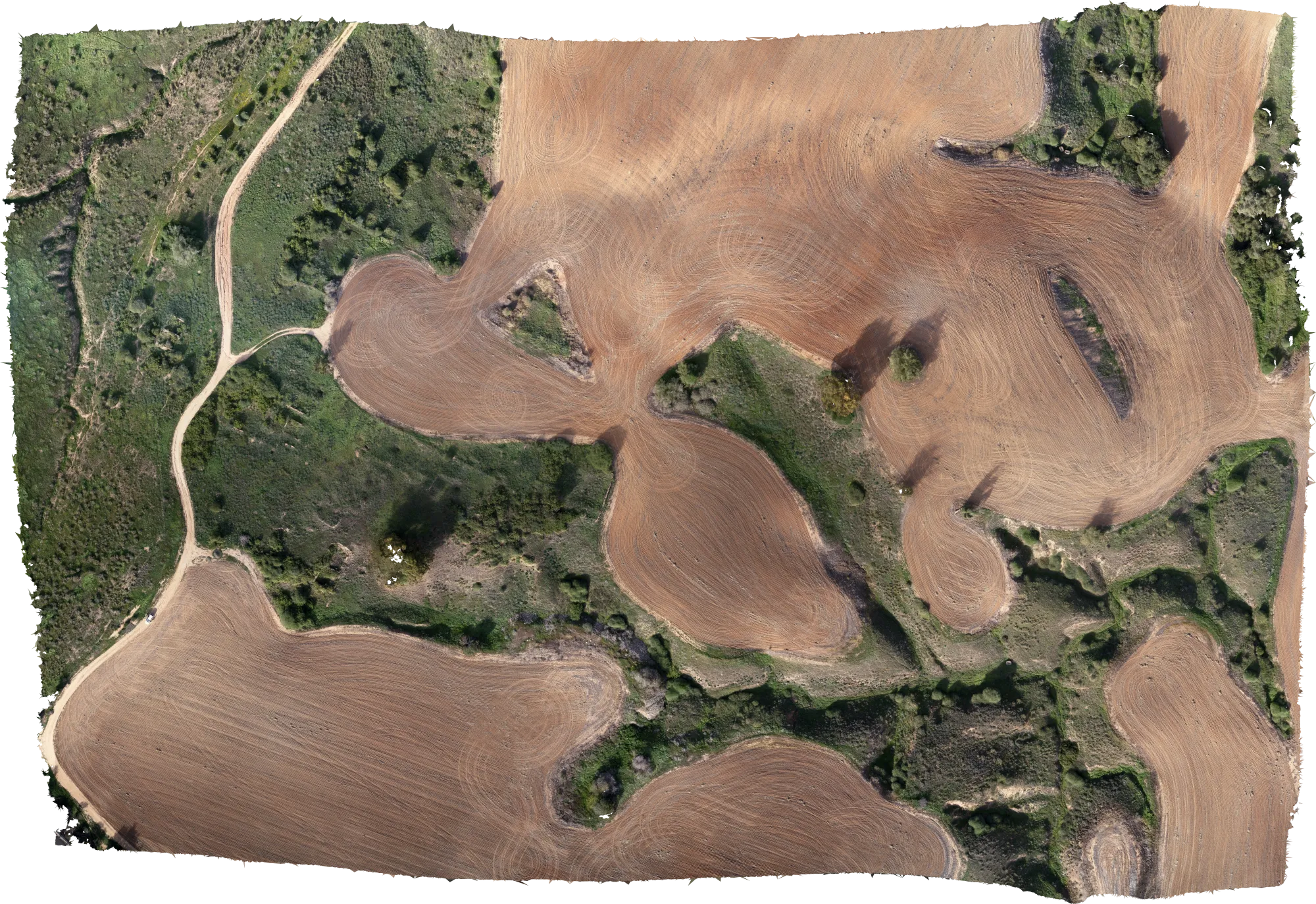 al-Jammama, Position: 31°29’51” N 34°41’7” E, Altitude: 164.2 m, Timestamp: 17.12.2018 - 13:27
